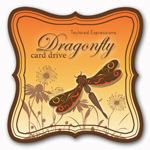 dragonflycarddrivegraphicb.jpg